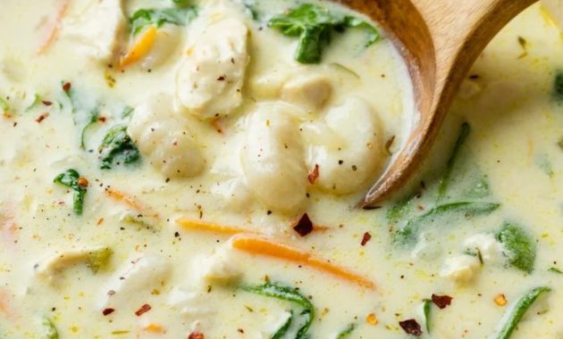 Chicken and Gnocchi Soup Recipe A Culinary Delight