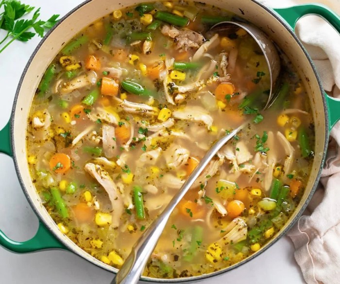 Chicken noodle vegetable soup recipe