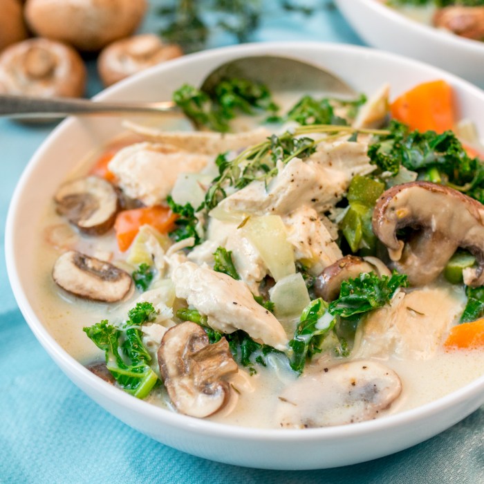 Easy chicken and cream of mushroom soup recipes