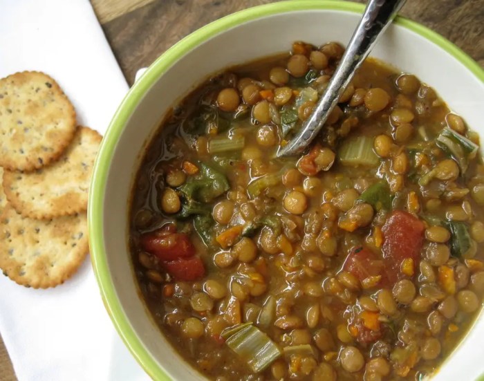 Weight watchers recipes lentil soup