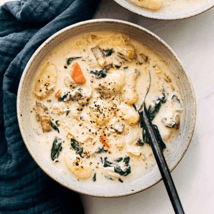 Chicken and gnocci soup recipe