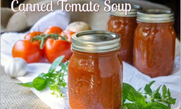 Best Canned Tomato Soup Recipe