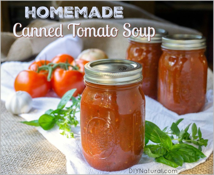 Best canned tomato soup recipe