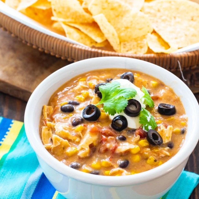 Chicken tortilla soup recipe in crock pot