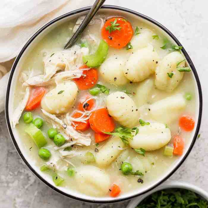 Chicken and gnocci soup recipe