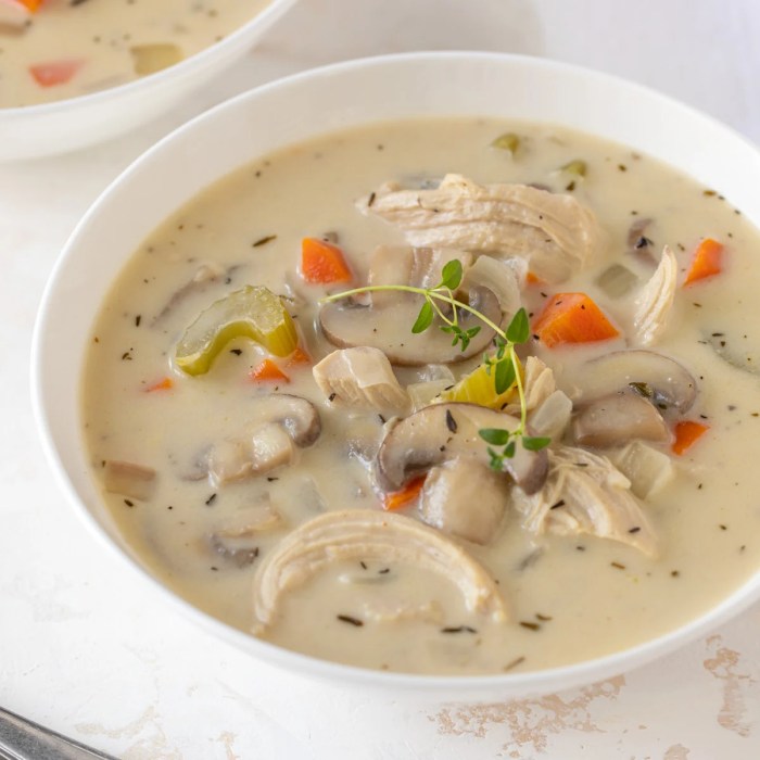 Easy chicken and cream of mushroom soup recipes