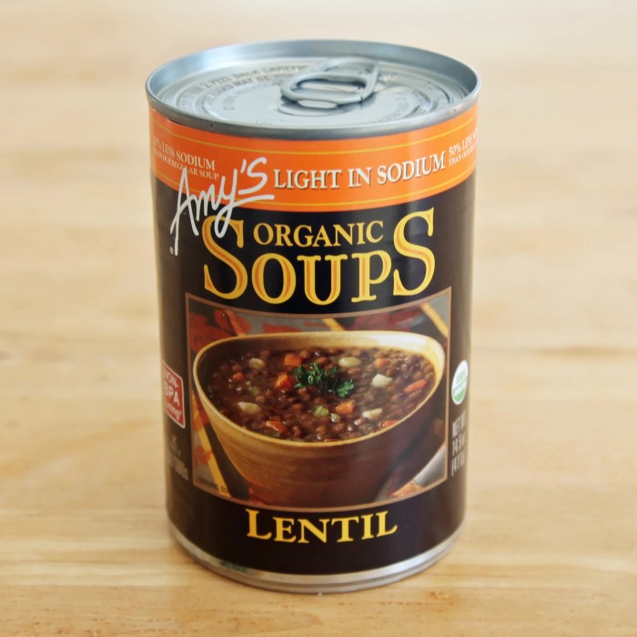 Can soup recipe